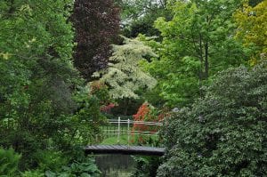 Cornus_brug_Concordia
