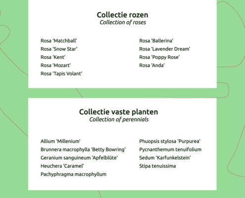 Plantenlijsten-rozentuin